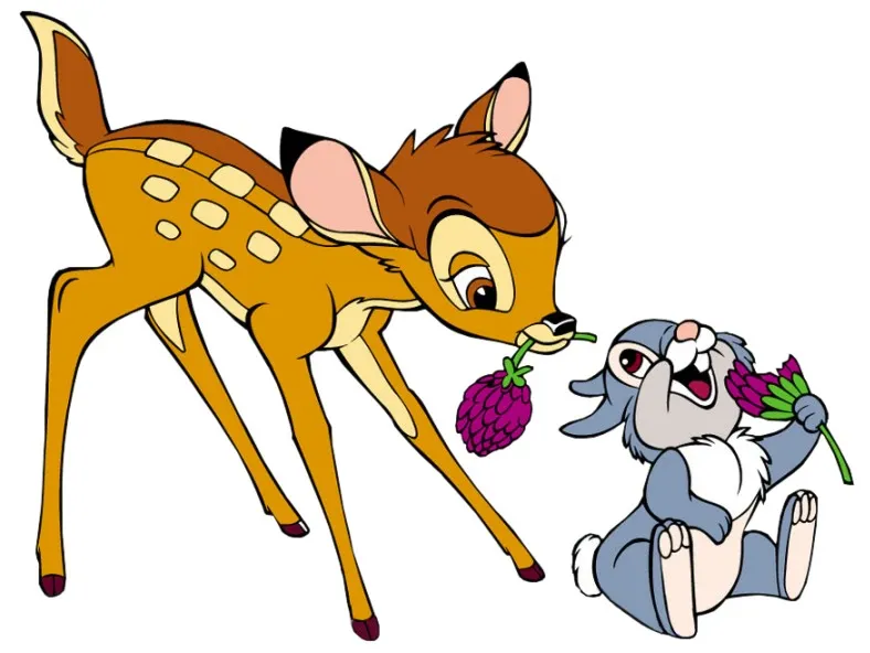 Appeal principle of animation